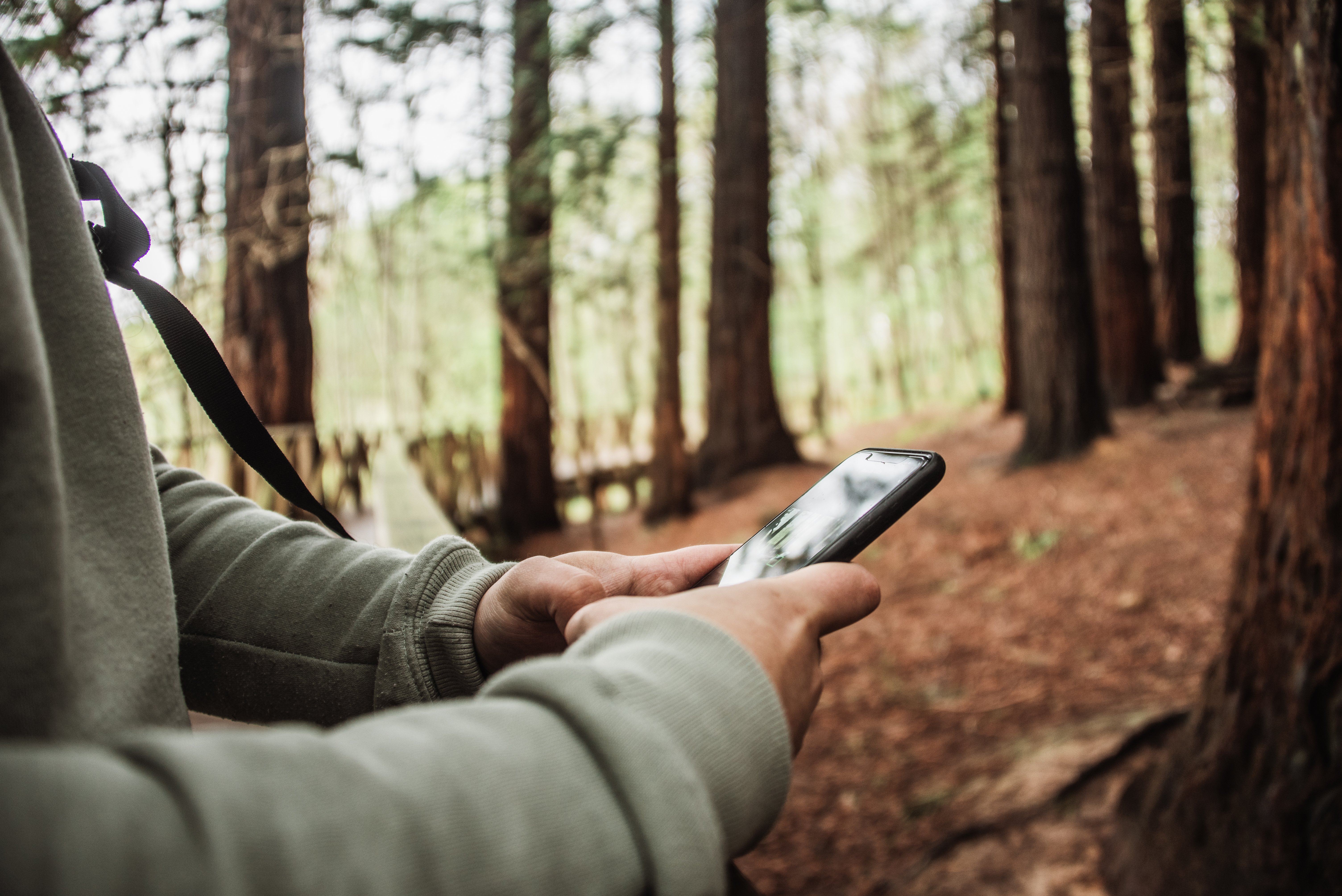 Mann mit Smartphone am Baumstamm